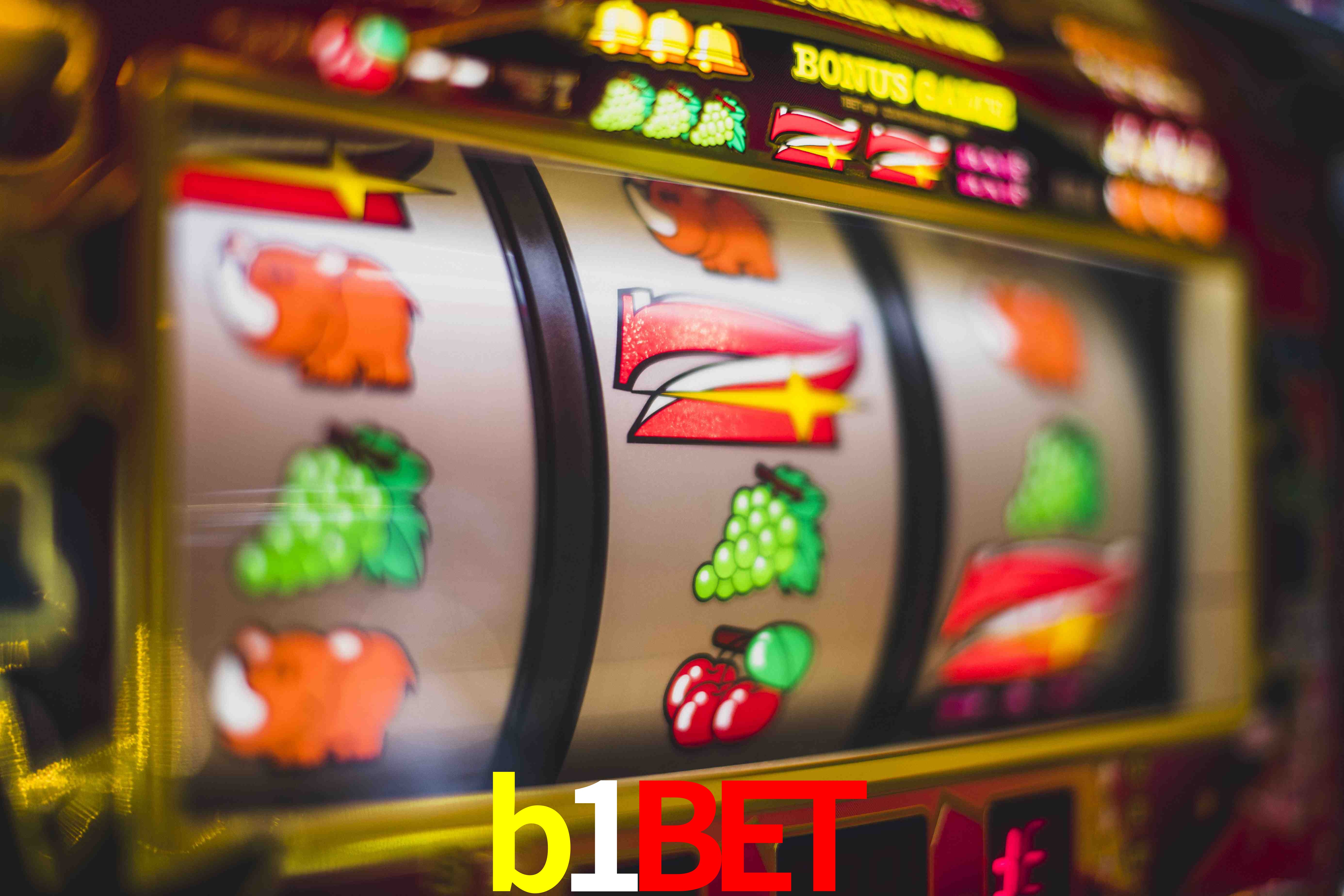 Sports Statistics b1bet